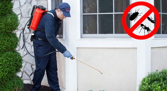 Bahçelerarası Akrep İlaçlama böcek ilaçlama ve haşere kontrolü — ilaclama-tr.com